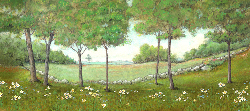 Paper Insert for Display Box - Summer