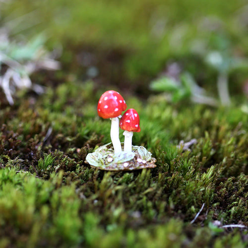 Tiny Toadstools